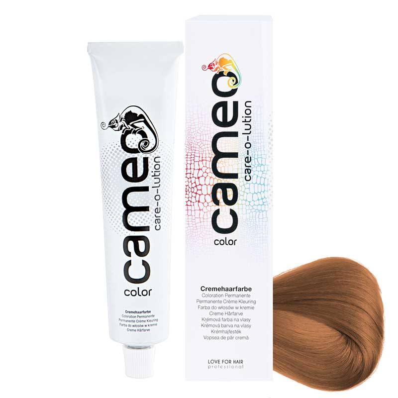 cameo color 8/73 Hellblond Braun-Gold (60 ml)