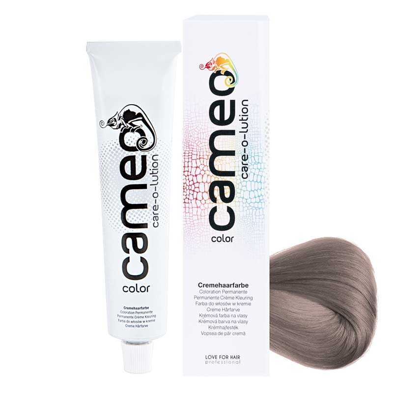 cameo color 0/81 Silber (60 ml)
