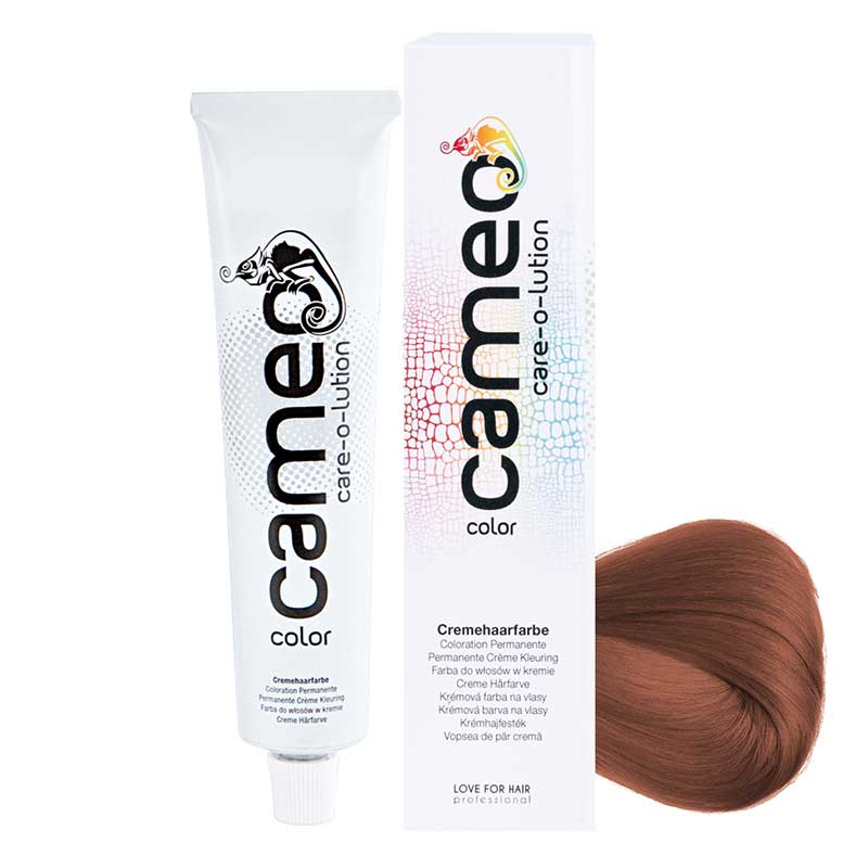 cameo color 6/73 Dunkelblond Braun-Gold (60 ml)