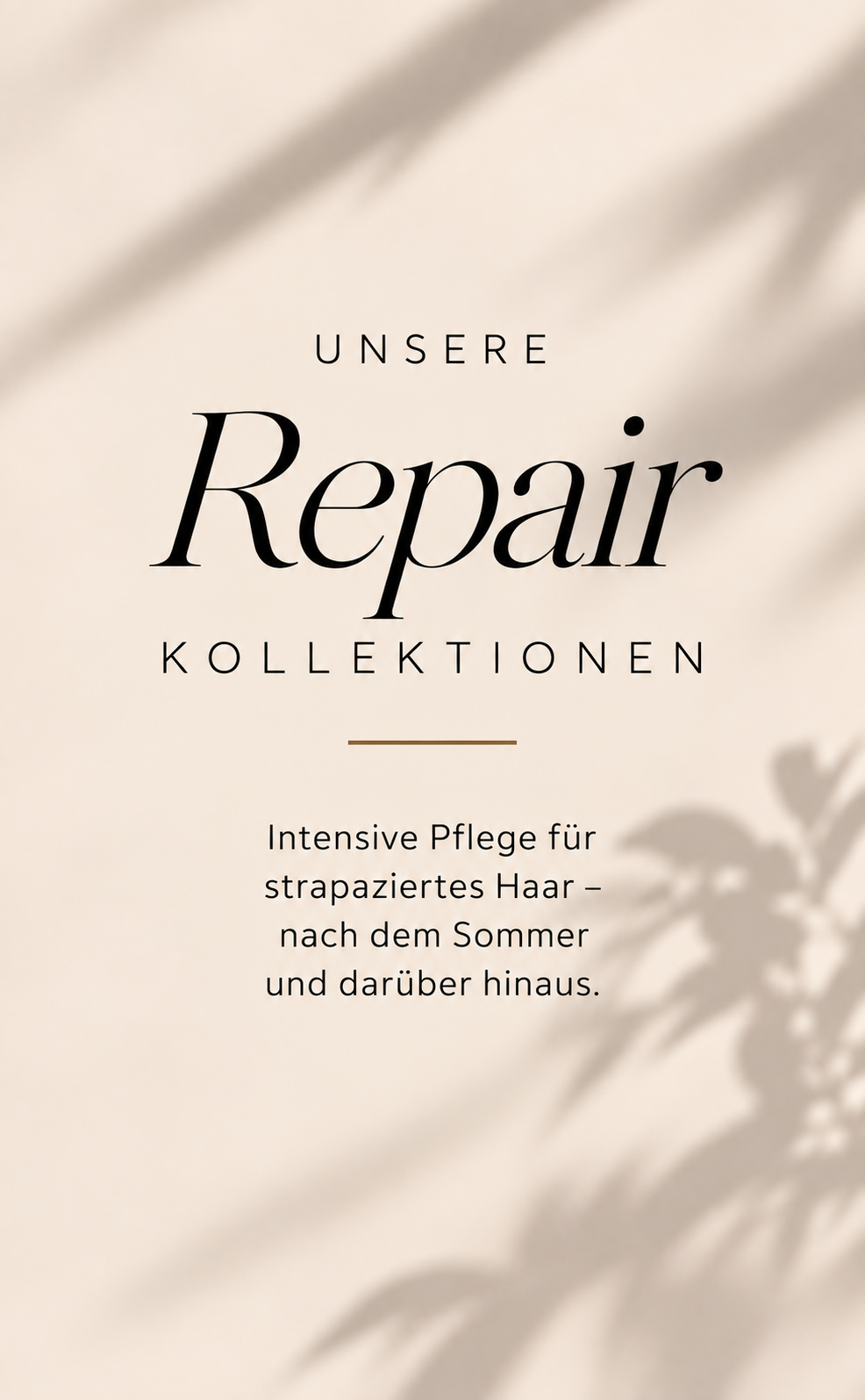 Repair Produkte